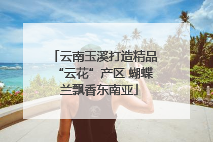 云南玉溪打造精品“云花”产区 蝴蝶兰飘香东南亚
