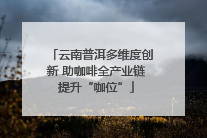 云南普洱多维度创新 助咖啡全产业链提升“咖位”