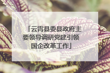 云霄县委县政府主要领导调研党建引领国企改革工作