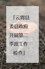 云霄县委县政府开展第二季度工作检查