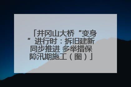 井冈山大桥“变身”进行时：拆旧建新同步推进 多举措保障汛期施工（图）
