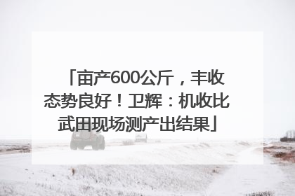 亩产600公斤，丰收态势良好！卫辉：机收比武田现场测产出结果