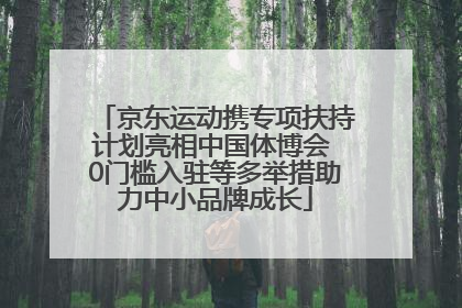 京东运动携专项扶持计划亮相中国体博会 0门槛入驻等多举措助力中小品牌成长