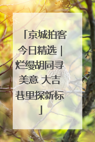 京城拍客今日精选｜烂缦胡同寻美意 大吉巷里探新标