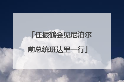 任振鹤会见尼泊尔前总统班达里一行