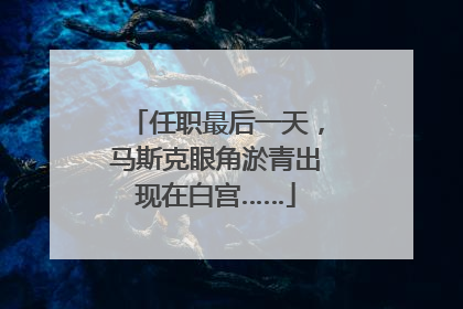 任职最后一天，马斯克眼角淤青出现在白宫……
