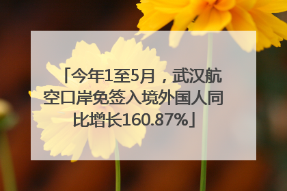 今年1至5月，武汉航空口岸免签入境外国人同比增长160.87%