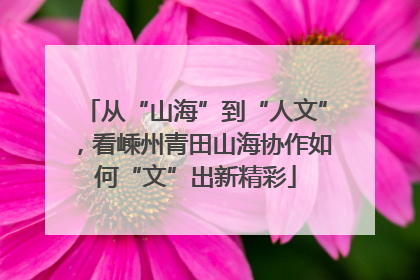 从“山海”到“人文”，看嵊州青田山海协作如何“文”出新精彩