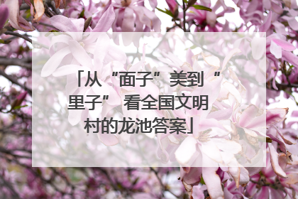 从“面子”美到“里子” 看全国文明村的龙池答案