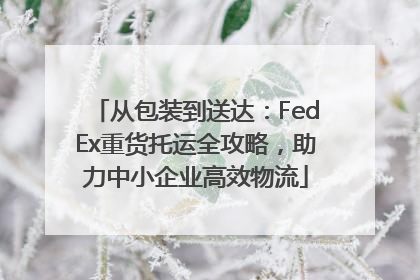 从包装到送达：FedEx重货托运全攻略，助力中小企业高效物流