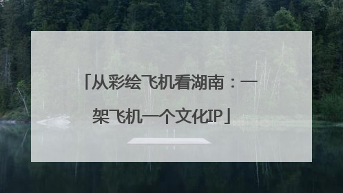从彩绘飞机看湖南：一架飞机一个文化IP