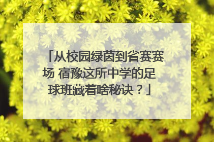 从校园绿茵到省赛赛场 宿豫这所中学的足球班藏着啥秘诀？