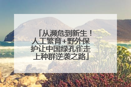 从濒危到新生！人工繁育+野外保护让中国绿孔雀走上种群逆袭之路