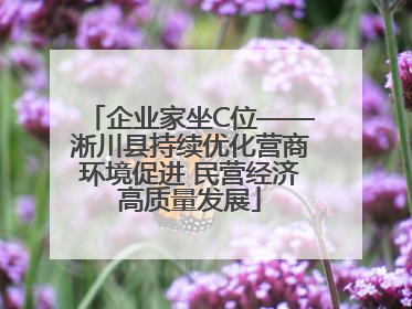 企业家坐C位——淅川县持续优化营商环境促进 民营经济高质量发展