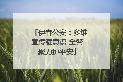 伊春公安：多维宣传强意识 全警聚力护平安