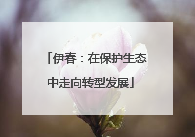 伊春：在保护生态中走向转型发展