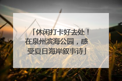 休闲打卡好去处！在泉州滨海公园，感受夏日海岸叙事诗