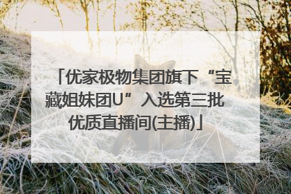优家极物集团旗下“宝藏姐妹团U”入选第三批优质直播间(主播)