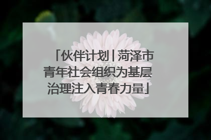 伙伴计划│菏泽市青年社会组织为基层治理注入青春力量