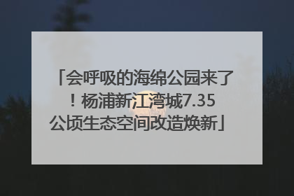 会呼吸的海绵公园来了！杨浦新江湾城7.35公顷生态空间改造焕新