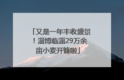 又是一年丰收盛景！淄博临淄29万余亩小麦开镰啦