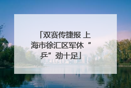 双赛传捷报 上海市徐汇区军休“乒”劲十足