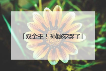 双金王！孙颖莎哭了
