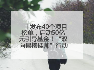 发布40个项目榜单，启动50亿元引导基金！“双向揭榜挂帅”行动成果丰硕