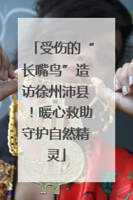 受伤的“长嘴鸟”造访徐州沛县！暖心救助守护自然精灵