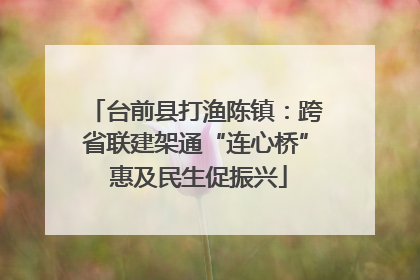 台前县打渔陈镇：跨省联建架通“连心桥” 惠及民生促振兴