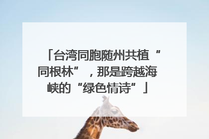 台湾同胞随州共植“同根林”，那是跨越海峡的“绿色情诗”