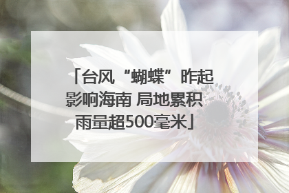 台风“蝴蝶”昨起影响海南 局地累积雨量超500毫米