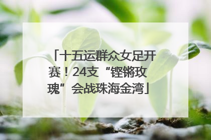 十五运群众女足开赛！24支“铿锵玫瑰”会战珠海金湾