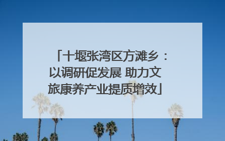 十堰张湾区方滩乡：以调研促发展 助力文旅康养产业提质增效