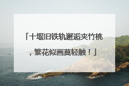 十堰旧铁轨邂逅夹竹桃，繁花似画莫轻触！