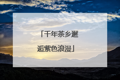 千年茶乡邂逅紫色浪漫