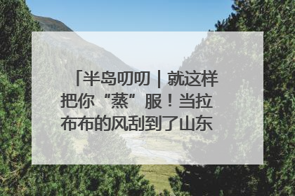 半岛叨叨｜就这样把你“蒸”服！当拉布布的风刮到了山东馒头界……