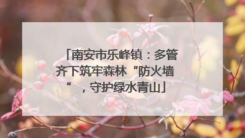南安市乐峰镇：多管齐下筑牢森林“防火墙”，守护绿水青山