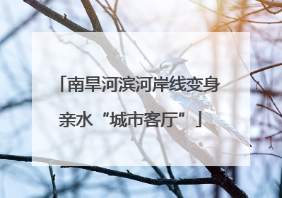 南旱河滨河岸线变身亲水“城市客厅”