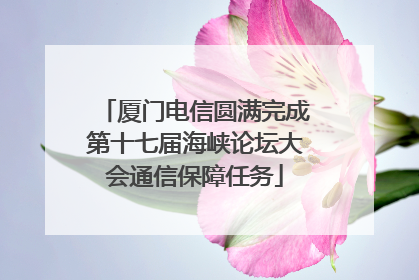 厦门电信圆满完成第十七届海峡论坛大会通信保障任务