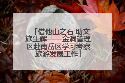 借他山之石 助文旅生辉——金洞管理区赴南岳区学习考察旅游发展工作