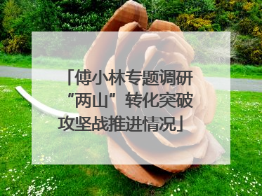 傅小林专题调研“两山”转化突破攻坚战推进情况