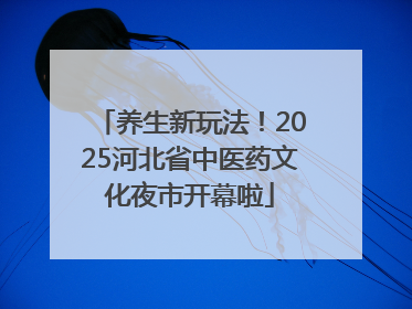 养生新玩法！2025河北省中医药文化夜市开幕啦