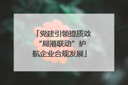 党建引领提质效 “局港联动”护航企业合规发展