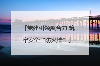 党建引领聚合力 筑牢安全“防火墙”