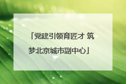 党建引领育匠才 筑梦北京城市副中心