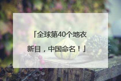 全球第40个地衣新目，中国命名！
