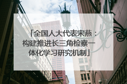 全国人大代表宋燕：构建推进长三角检察一体化学习研究机制