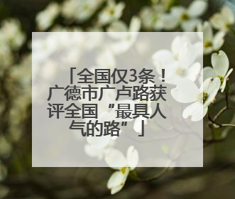 全国仅3条！广德市广卢路获评全国“最具人气的路”
