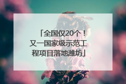全国仅20个！又一国家级示范工程项目落地潍坊